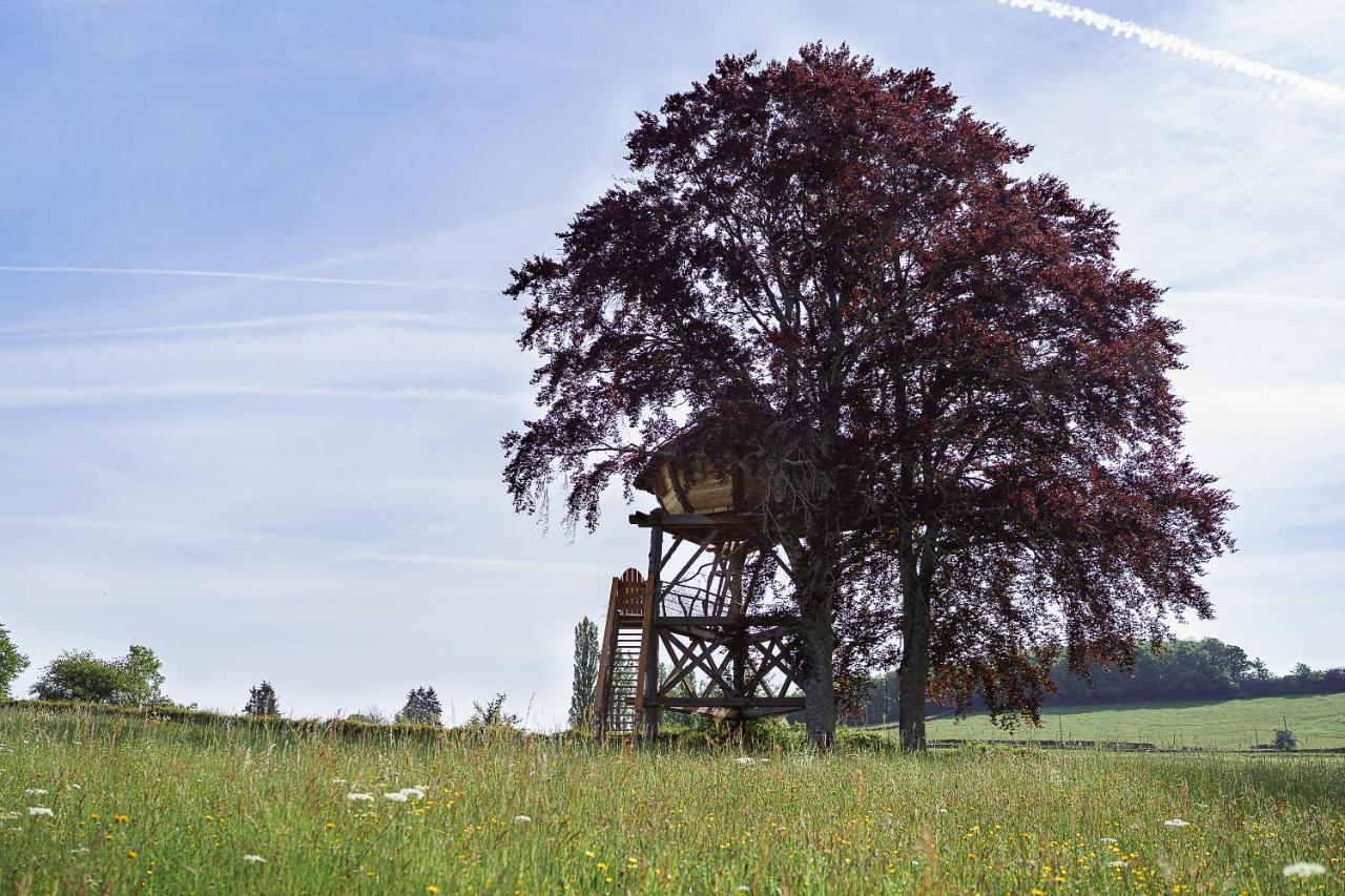 Cabane Perchee Dans Les Arbres Saint-Hilaire-en-Morvan Exterior photo