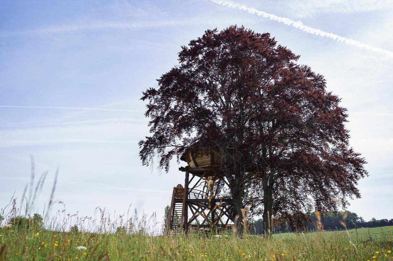 Cabane Perchee Dans Les Arbres Saint-Hilaire-en-Morvan Exterior photo